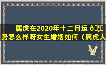 属虎在2020年十二月运 🦋 势怎么样呀女生婚姻如何（属虎人2020年12月运势运程女）